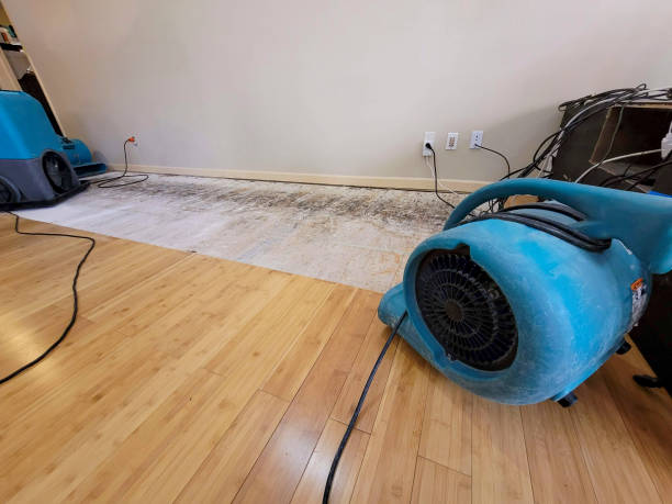 Professional Structural Drying technician working in Dallastown, PA